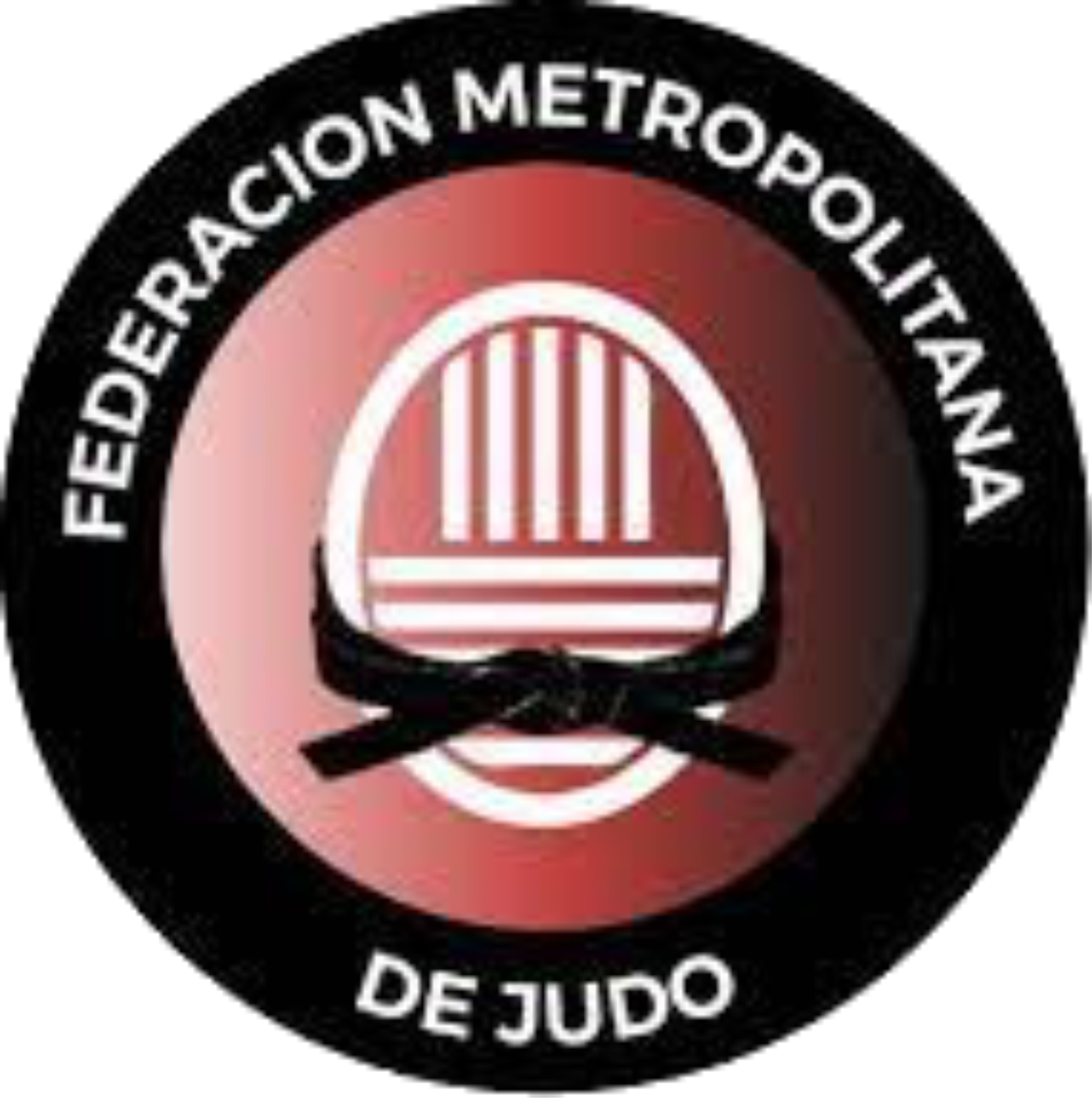 FMJ Logo